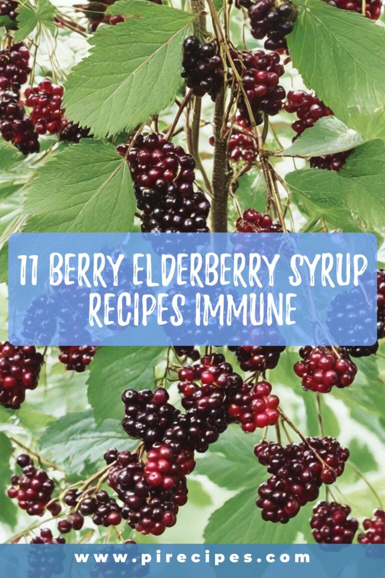 11 Berry Elderberry Syrup Recipes Immune